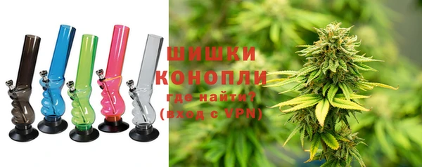 PSILOCYBIN Навашино