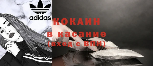 PSILOCYBIN Навашино