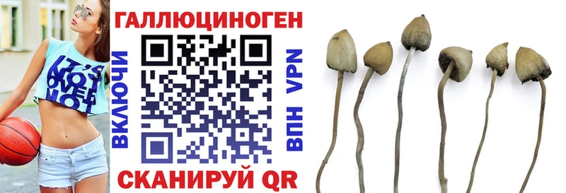 наркошоп  Кострома  Галлюциногенные грибы MAGIC MUSHROOMS 